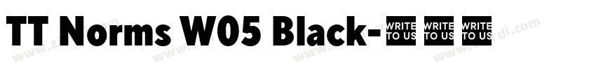 TT Norms W05 Black字体转换 TT Norms W05 Black字体转换